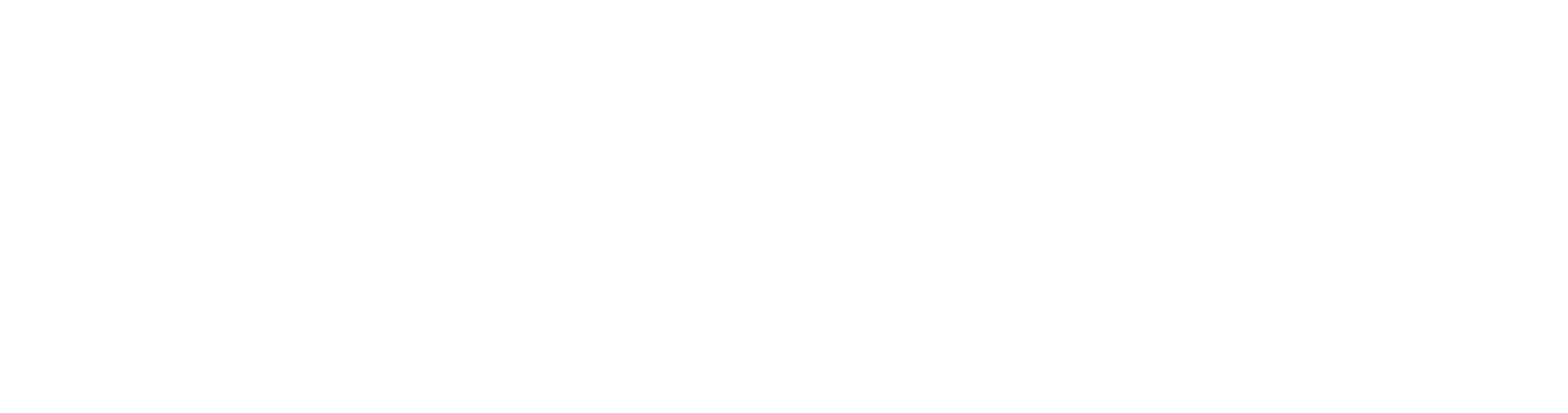 STOIK logo (white)