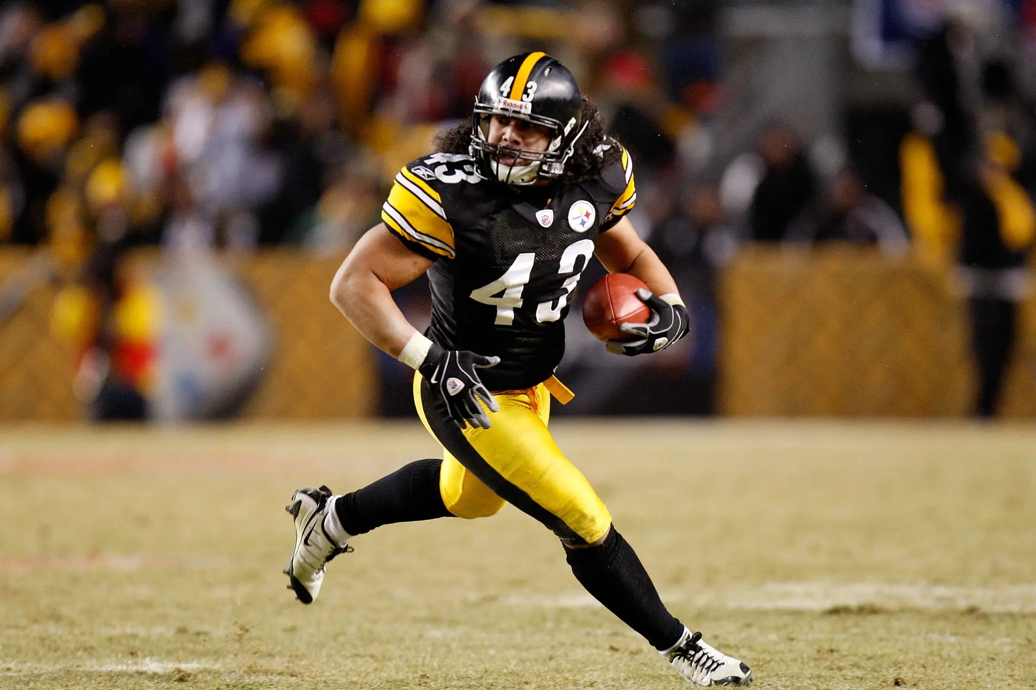 TROY POLAMALU